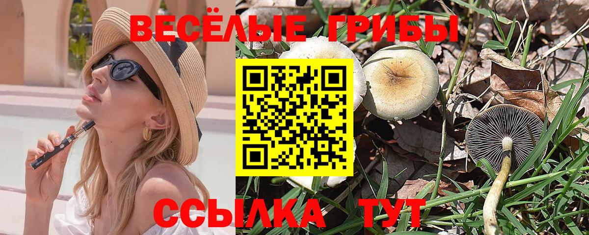 Гусиноозёрск  Галлюциногенные грибы MAGIC MUSHROOMS  Вход с VPN 