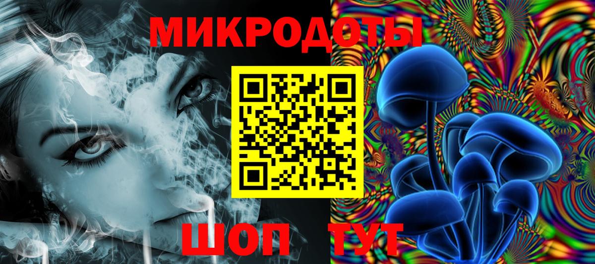 Псилоцибиновые грибы мухоморы Гусиноозёрск